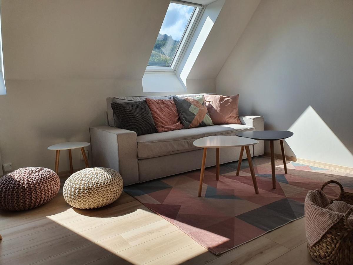 Apartmany Brachovna Mikulov v Krusnych Horach Exterior foto